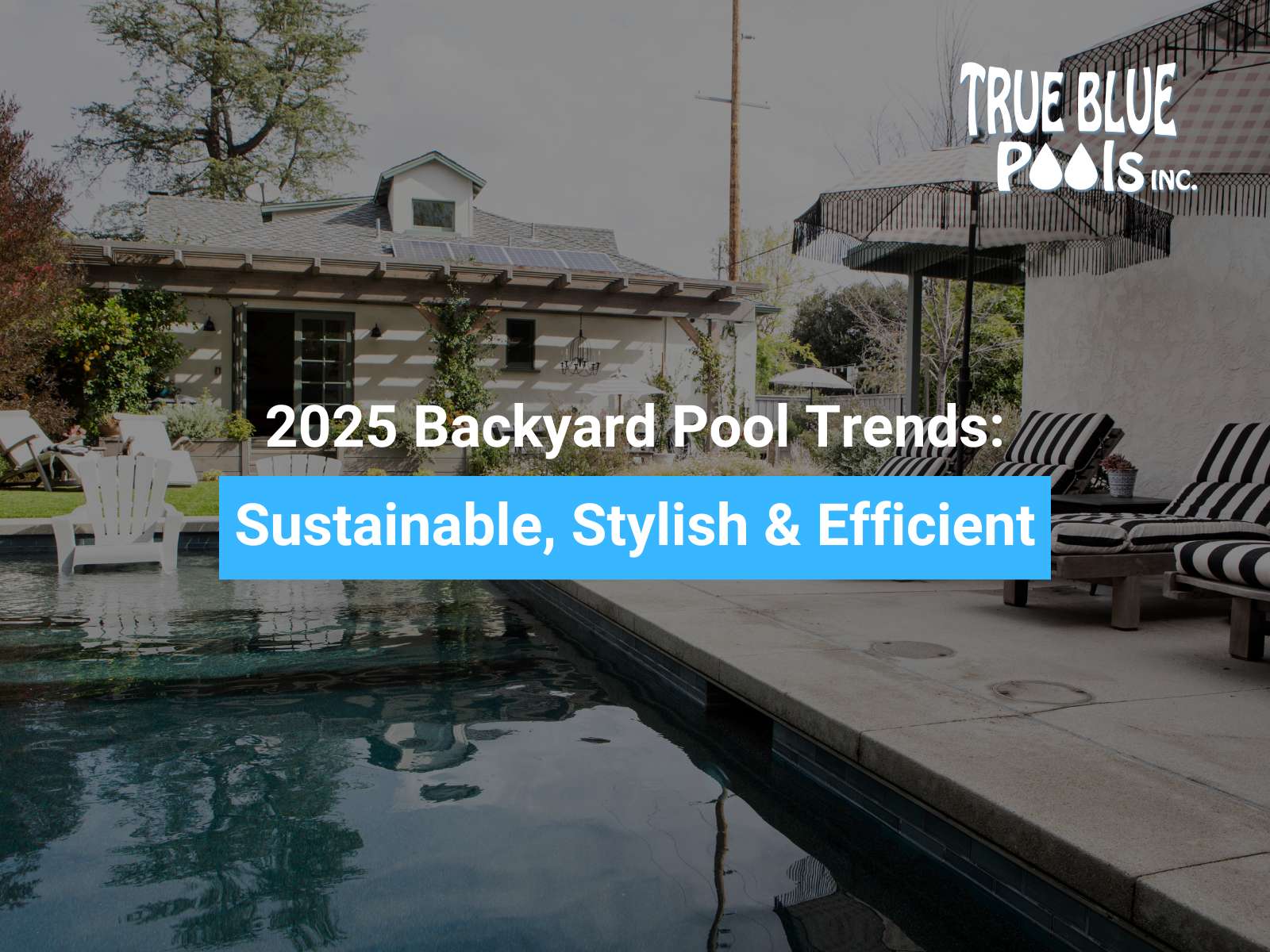 2025 Backyard Pool Trends: Sustainable, Stylish & Efficient