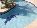Custom pool with baja steps and beach entry in Chandler, AZ — True Blue Pools