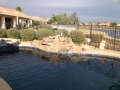 Free Form Pools — midnight-blue interior free-form pool by True Blue Pools (10)