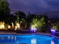 Free Form Pools — finished free-form pool remodel (after) by True Blue Pools (18)