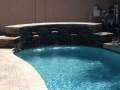Custom Gibbs scupper water feature on a True Blue Pools backyard pool