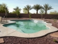 Chandler Custom Freeform Pool