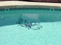 Custom Pool Mosaic, Tempe