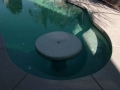 Custom Seating Pool Remodel