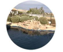 True Blue Pools City of Scottsdale Custom Pool Building Services