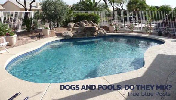 Work With Our Custom Pool Builders In Scottsdale AZ Today
