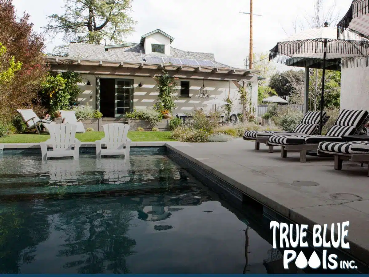 Modern backyard with lounge chairs and a sleek pool design, showcasing Backyard Pool Trends for 2025